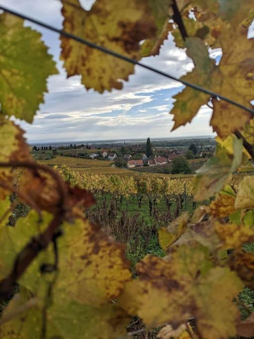 Le Kelsch, Loft Duplex 130M2 Avec Sauna, Proche Vignoble Marlenheim Luaran gambar